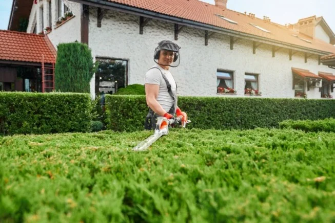 What You Really Need for a Lush Lawn? What You Really Need for a Lush Lawn?