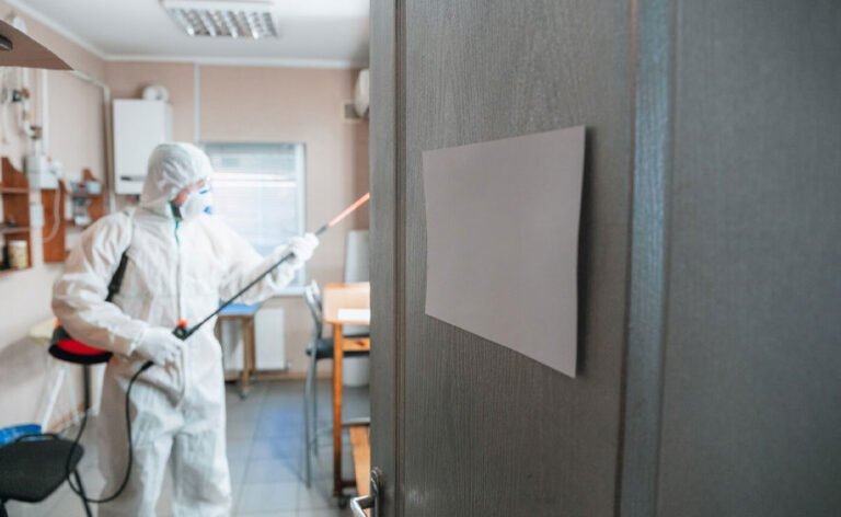 5 Signs You Need Professional Mold Remediation Services